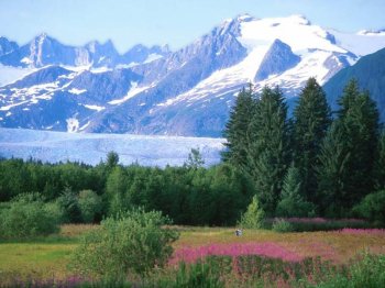 ♥ ஐ NATURPEACE & GREENPEACE ஐ ♥